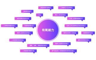 破译运动健康管理品牌GetWell的基因密码 品牌管理的核心之道