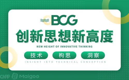 波士顿咨询 全球战略与管理咨询的引领者