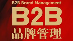 B2B品牌管理 构建信任与价值的战略核心